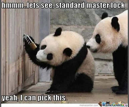 pandahumor